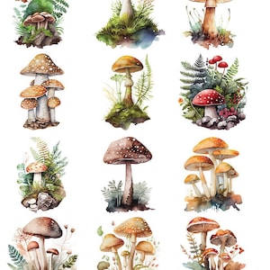May include: Watercolor illustrations of various mushrooms in a variety of colors, including red, orange, brown, and green. Some mushrooms have white spots. The mushrooms are surrounded by greenery and are set against a white background. The number "49888" is in the top left corner.