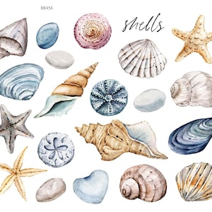 May include: A watercolour illustration featuring an assortment of seashells and starfish in blue, brown, and beige hues. The word "shells" is written in cursive. The image showcases diverse shapes and textures, ideal for seaside-inspired projects.