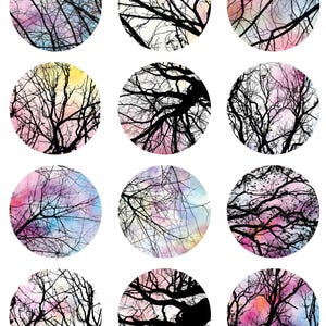 May include: A collection of twelve circular designs featuring black tree branches against a watercolor background. The backgrounds blend pink, blue, yellow, and purple hues, creating a dreamy, artistic effect. The designs are set against a white background.