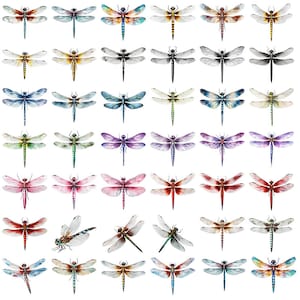 Lots of Watercolor Dragonflies - Ceramic Decals- Enamel Decal  - Glass Decal- 72466