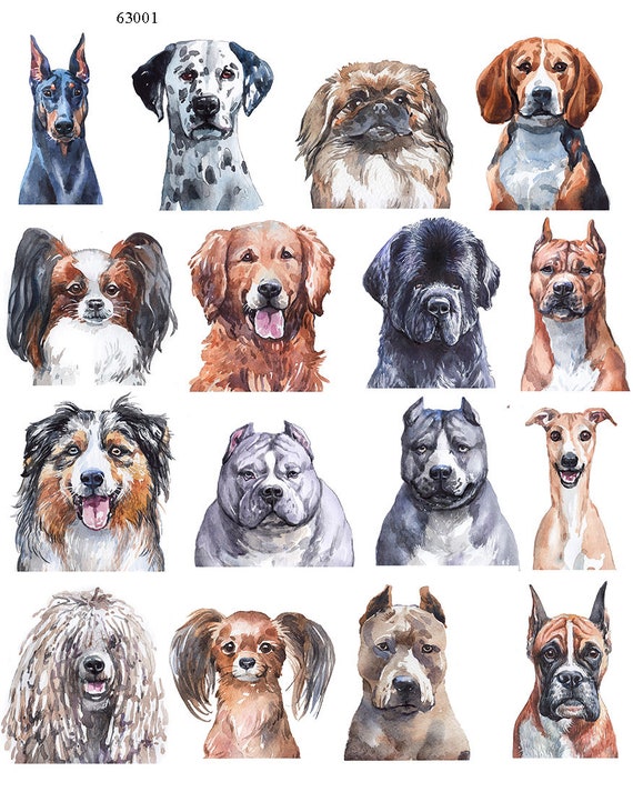 How Do I Buy A Dog Online Safely