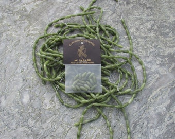 Autentico marmo irlandese Connemara, 1/2 filo di perline a forma di riso da 12 x 6 mm, confezione da 16 dall'Irlanda