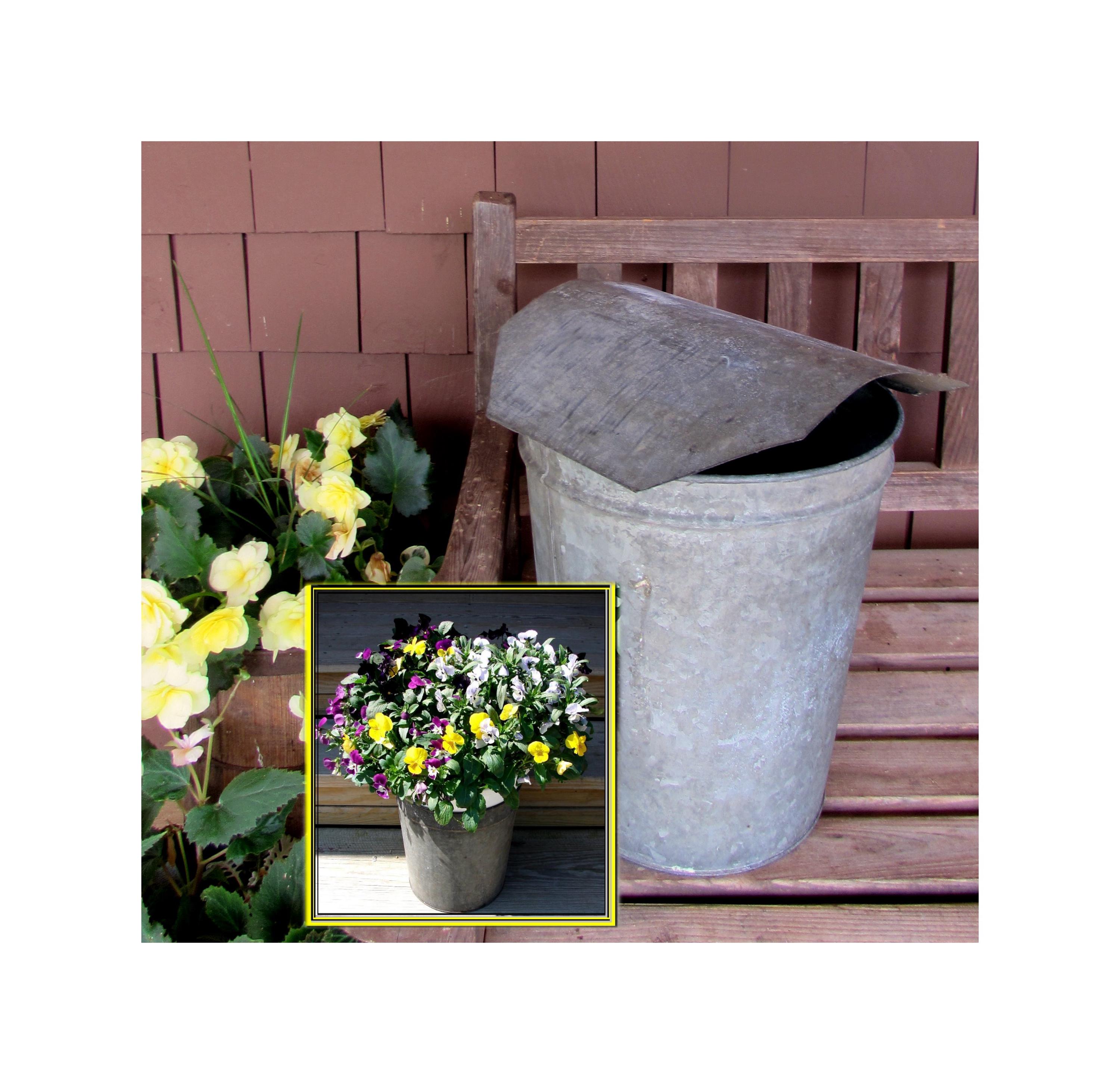 25 APLE SYRUP Aluiniu Sap BUCKETS + 25 Lids Covers + 25 Taps Spouts