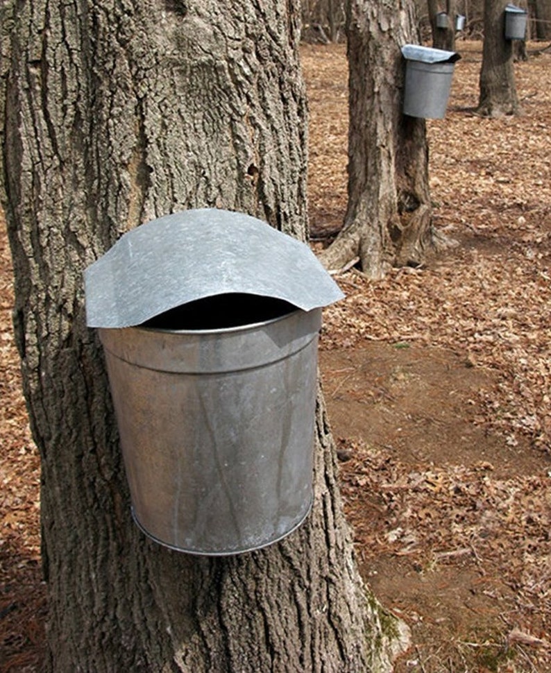 HERB GARDEN Handstenciled Vintage Galvanized Maple Sap Bucket Etsy