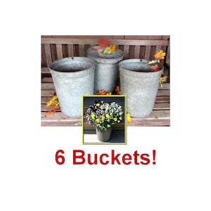 May include: Three galvanized metal buckets, each with a slightly different shape and size, are arranged on a wooden bench. The buckets are empty, but the text "6 Buckets!" is visible below them.  A small potted plant with purple, white, and yellow flowers is in the foreground.