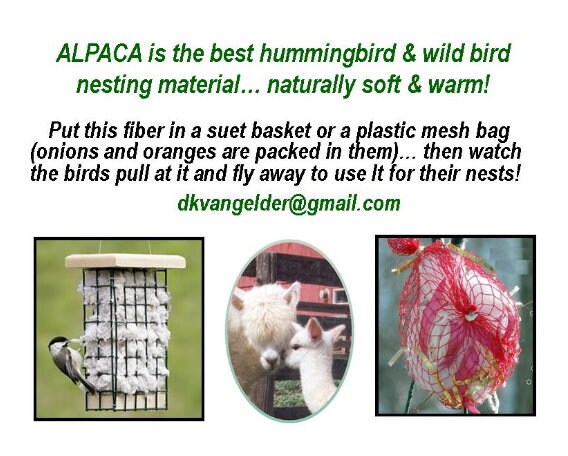 The BEST Hummingbird Bird Nesting Material~Naturally Warm 3 Pack~ALPACA FIBER 