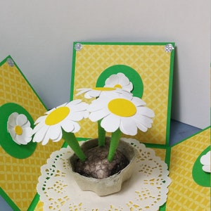 Birthday Box Greeting Card With Paper Daisies, Daisies Explosion Box , Mother's Day Greeting Card, Birthday Greeting Card image 2