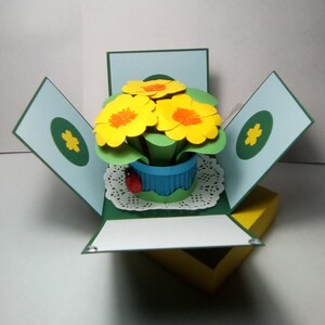 Biglietto Auguri e Scatolina con Primula di Carta per Compleanno, Festa della Mamma, Biglietto Pop up