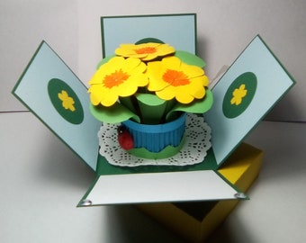 Explosion Box With Paper Primrose, Primrose Exploding Box , Mother's Day Greeting Card, Birthday, Greeting Card