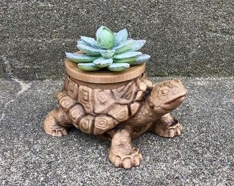 Puede incluir: Un macetero de tortuga de cerámica marrón con una planta suculenta verde en su interior. El macetero de tortuga tiene un caparazón y una cabeza detallados.