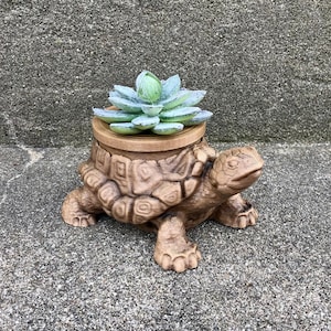 Tortoise Planter -  3D Printed Hand-Painted Succulent Planter