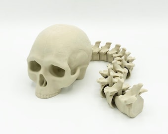 3D-geprint gelede Flexi Skull Predator Trophy Fidget Toy - verschillende kleuren