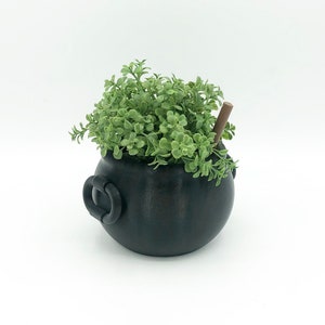 May include: A black ceramic pot with a rounded shape and two handles. The pot is filled with a green leafy plant.