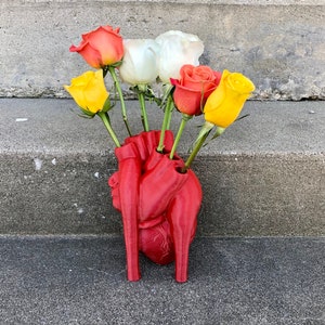 Realistic Heart Vase - 3D Printed Anatomically Correct Heart Vase