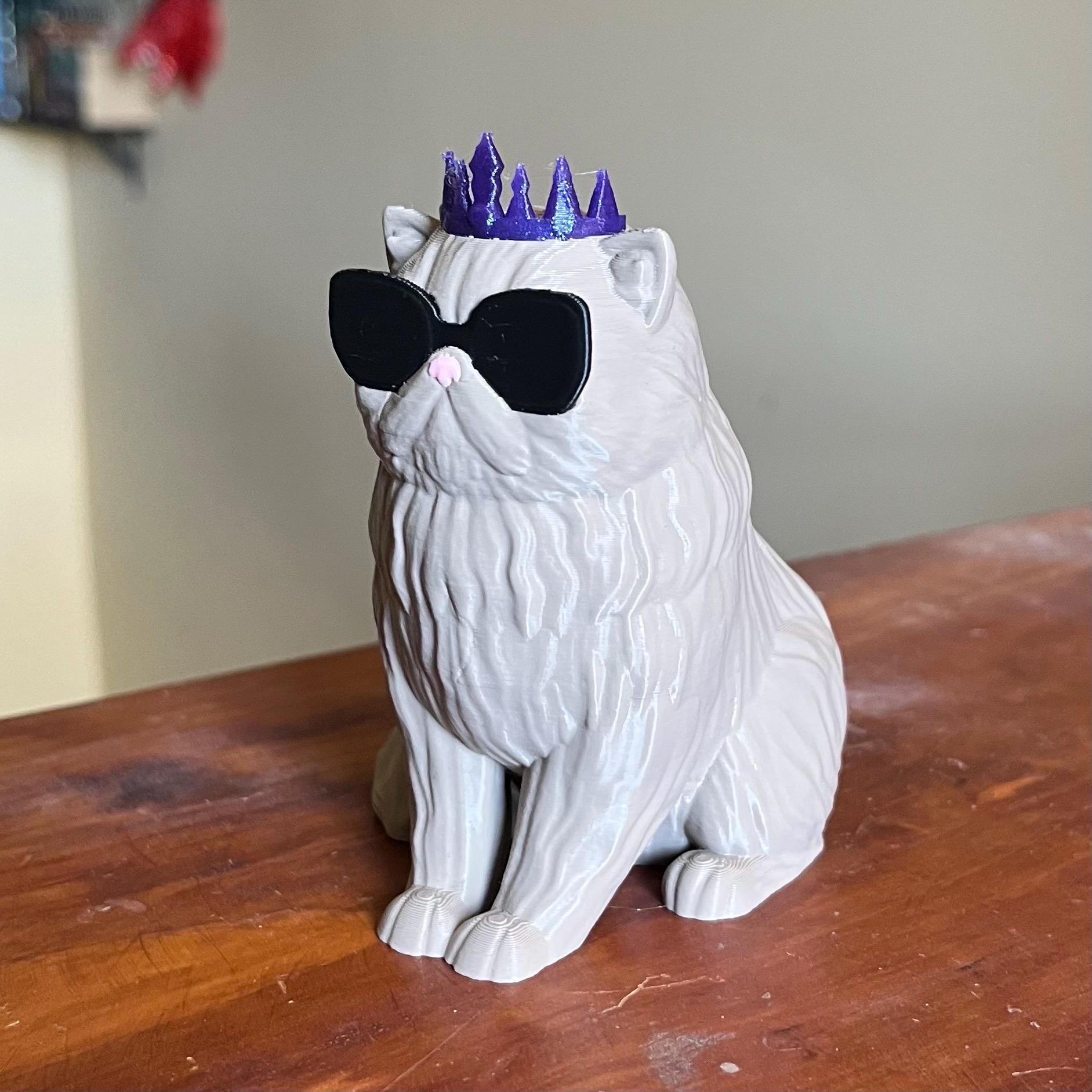 Princess Donut Bookshelf Decor - Sentient Show Cat Book Figure