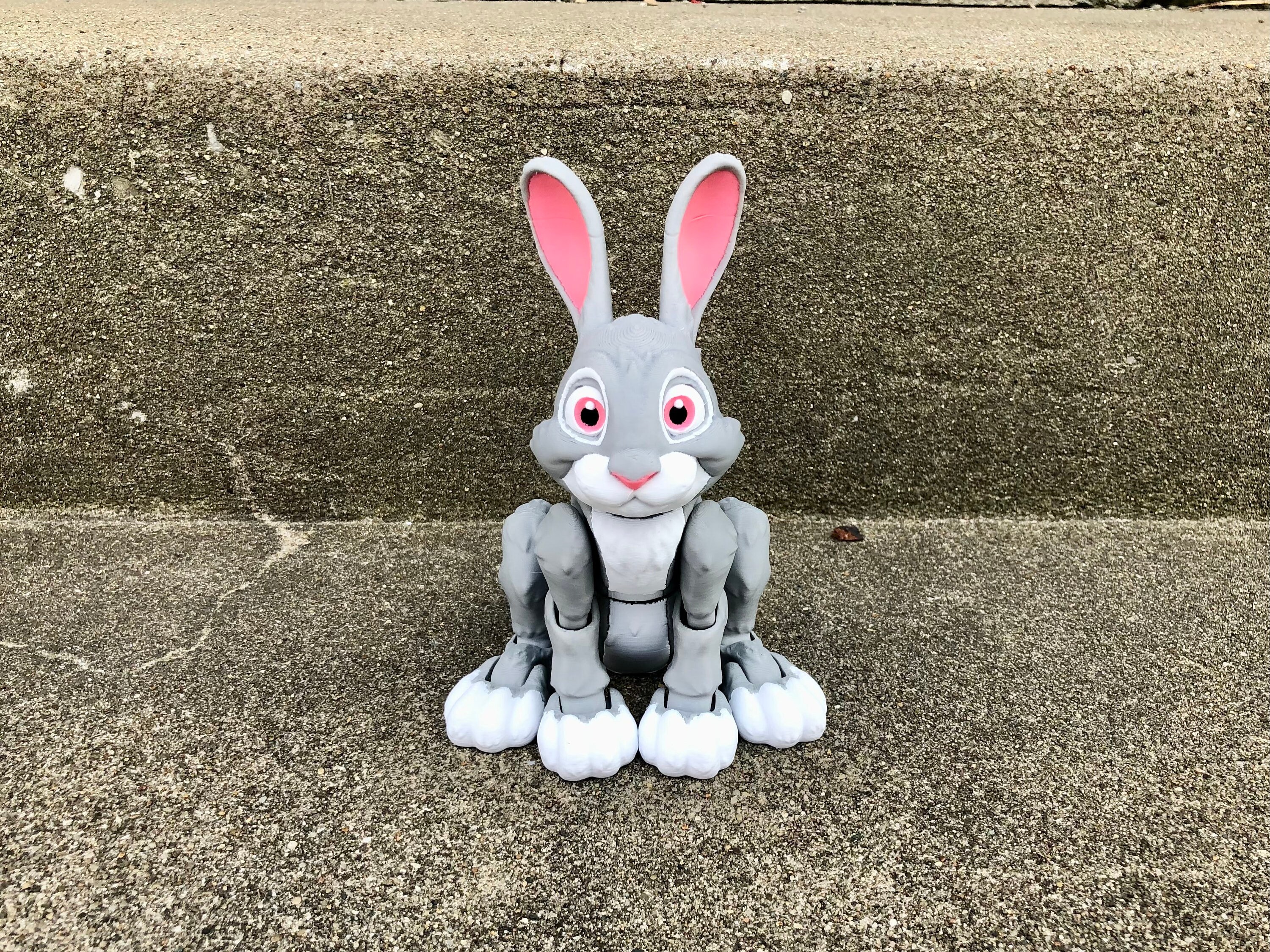 Flexi Bunny Rabbit 3D Printed Articulated Fidget Toy - Full Color - Etsy