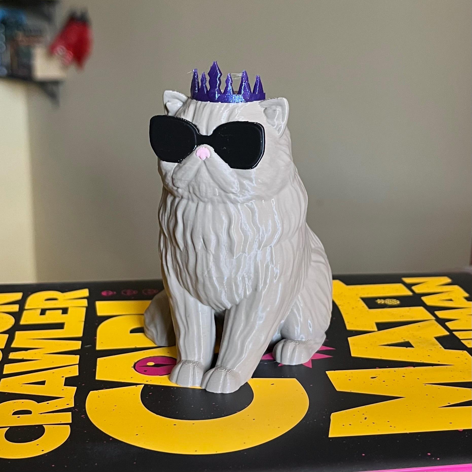Princess Donut Bookshelf Decor - Sentient Show Cat Book Figure