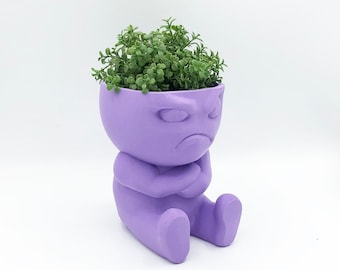 Grumpy Planter 3D Printed Succulent Planter Pot Vase - Various Colors