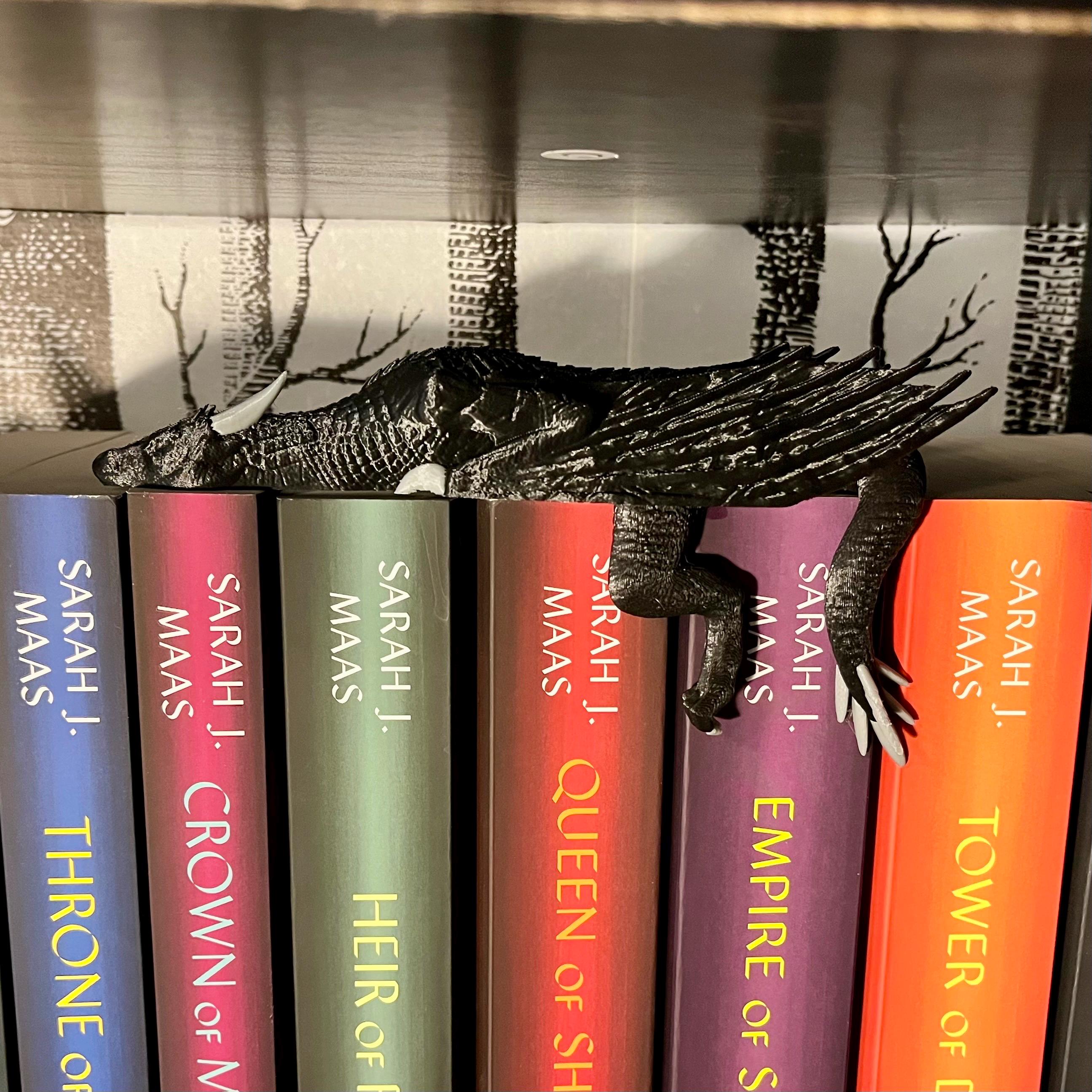Wyvern Bookshelf Decor - Sleeping Wyvern and Hanging Wyvern - TOG Inspired 3D Printed Bookish Decor