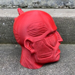May include: A red 3D printed model of a human head with detailed muscle anatomy. The head is tilted to the side, and the mouth is slightly open.