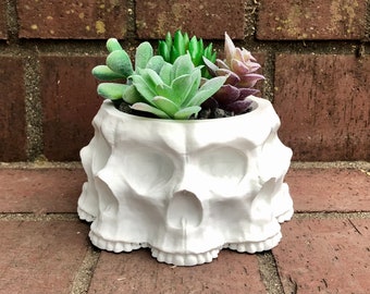 3D Printed Polyskull Planter Bowl