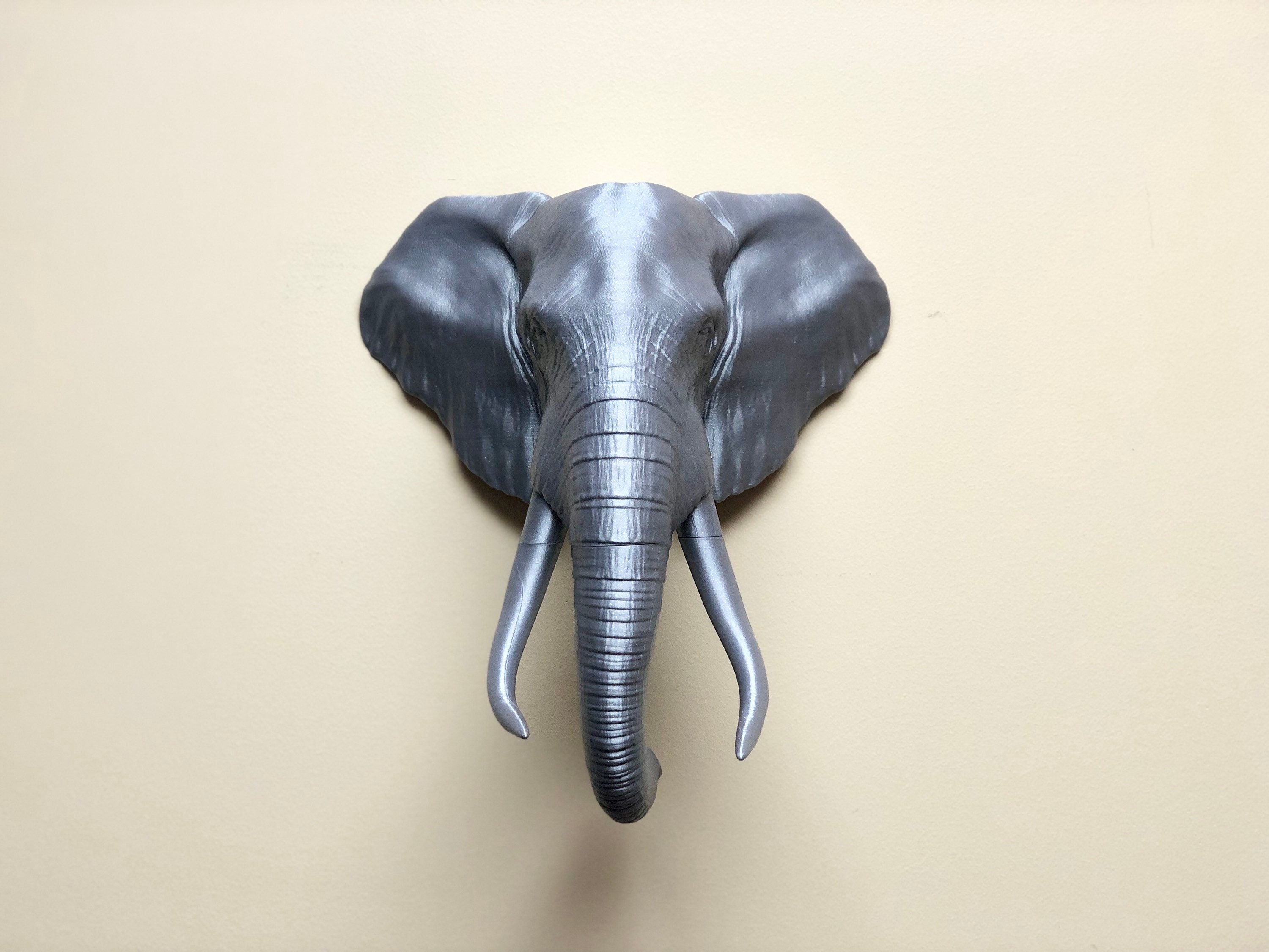 象　アートプリント　額入り　Elephant 額付アート写真/A3ノビ】ELEPHANT IN THE SUN（太陽の中の象