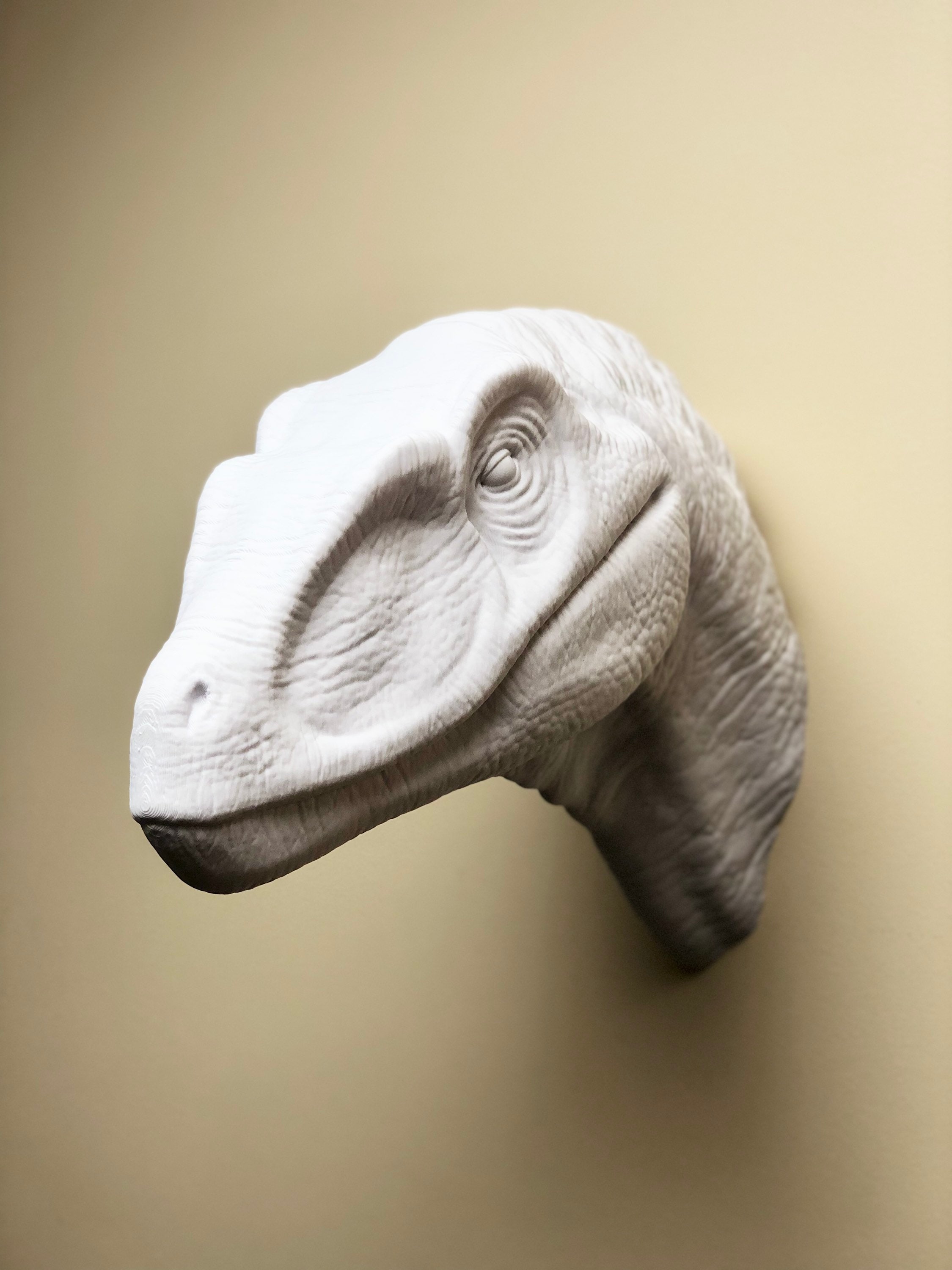 XL Velociraptor Head Wall Art Mount - 3D Printed Bust - Etsy