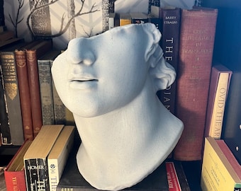 May include: A light gray, classical bust sculpture of a face, missing the top of the head. The sculpture is displayed on a shelf with a collection of antique books with red and gold spines. The bust is a decorative item.