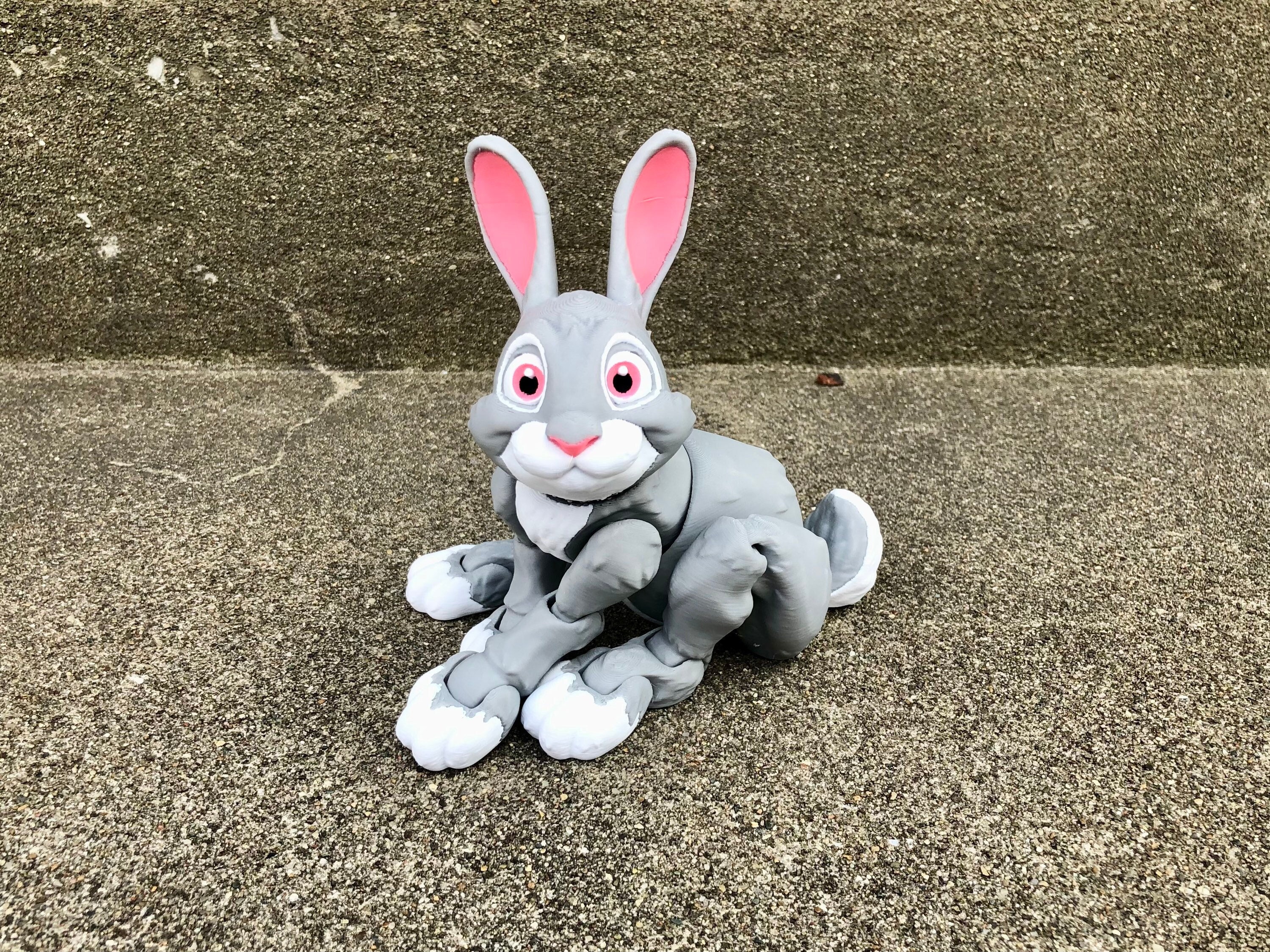 Flexi Bunny Rabbit 3D Printed Articulated Fidget Toy - Full Color - Etsy