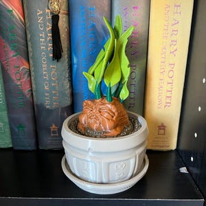 May include: A ceramic planter with a brown and orange creature with green leafy plants growing out of its head. The planter is sitting on a shelf with a set of Harry Potter books behind it.