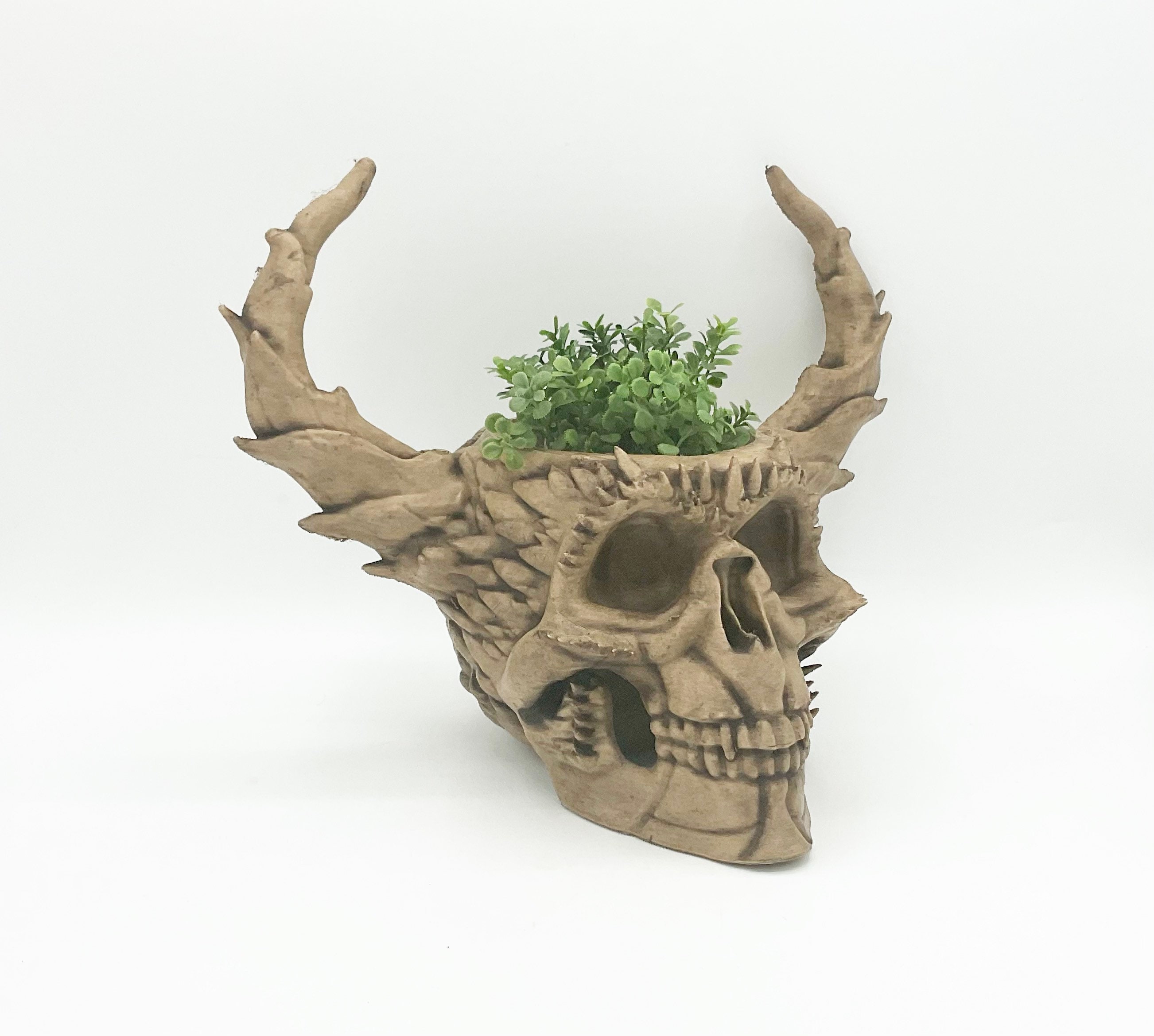 Animal Skull Planter - Etsy Animal Skull Planter - Etsy