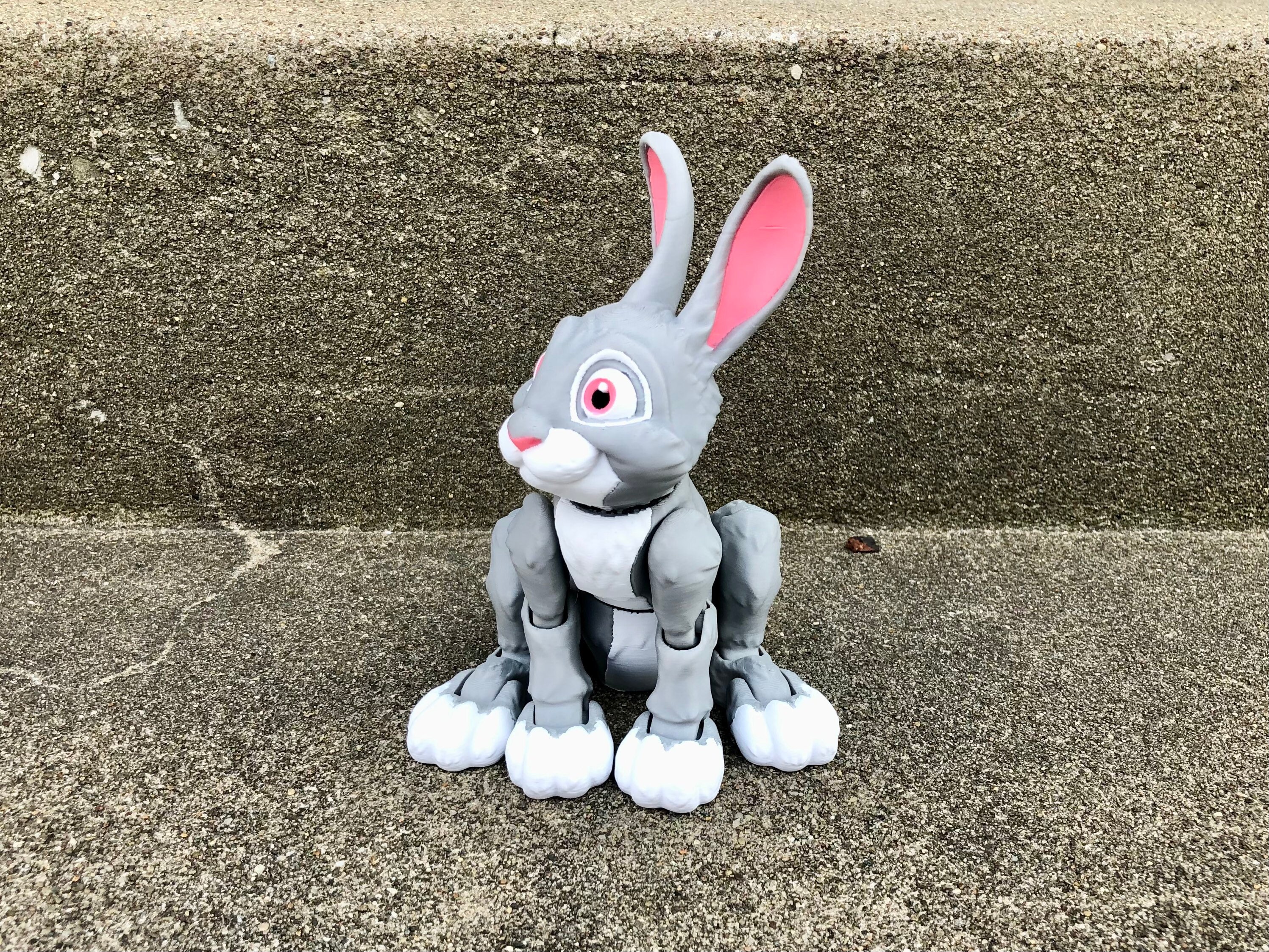 Flexi Bunny Rabbit 3D Printed Articulated Fidget Toy - Full Color - Etsy