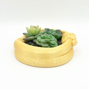 3D Printed The Great Serpent Mini Succulent Planter Inspired by The Wheel of Time