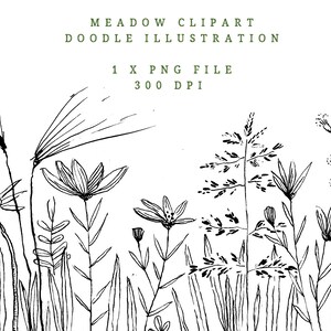 Doodle Wildflower Clipart, Hand-Drawn Floral Meadow (PNG file)