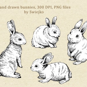 Digital Clipart, Doodle Clipart, Easter Bunnies, Bunny Clipart image 3