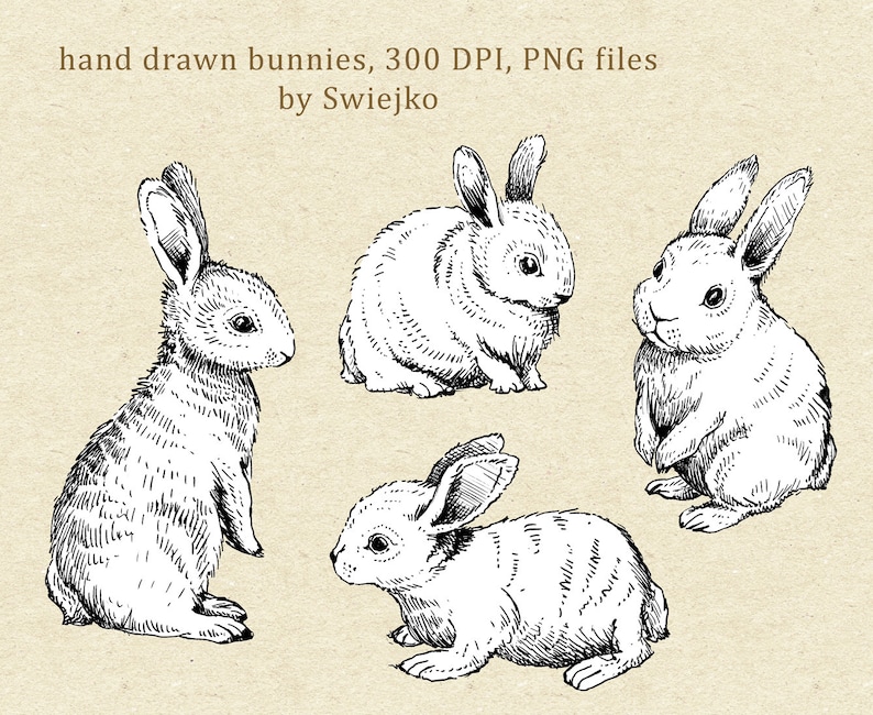 Digital Clipart, Doodle Clipart, Easter Bunnies, Bunny Clipart image 3