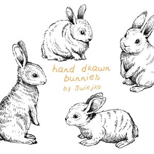 Digital Clipart, Doodle Clipart, Easter Bunnies, Bunny Clipart image 1