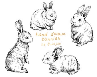 Könnte beinhalten: Ein Satz von vier handgezeichneten Illustrationen von Kaninchen in Schwarzweiß. Die Kaninchen sind in verschiedenen Posen, darunter sitzend, stehend und liegend. Die Illustrationen sind mit "handgezeichnete Kaninchen von Swiejko" beschriftet.