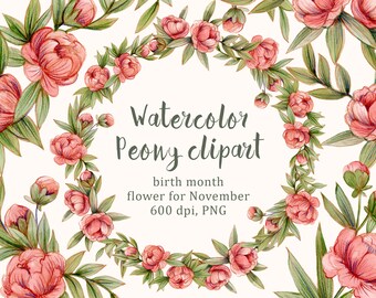 Peonies clipart, Birth Month Flowers, November Flower, watercolor clipart, hand painted, floral clipart, february, spring, garden, summer