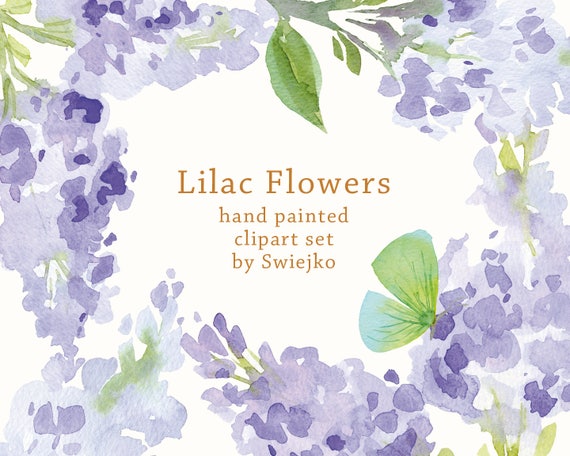 Digital acuarela lila flores y mariposas de la mano pintado - Etsy México
