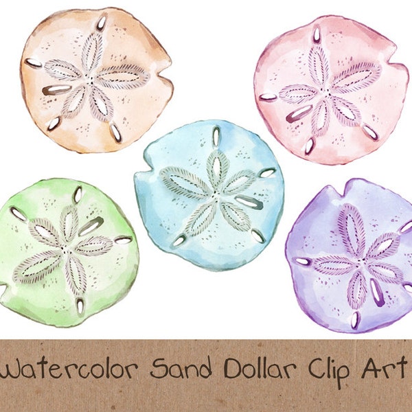 Sand Dollar Clip Art, hand painted, watercolor, shell, ocean, sea, coastal, seashell, nature, sea shore, beach, summer, vacation, pastel