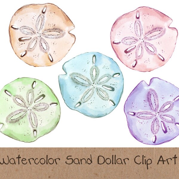 Watercolor Sand Dollar Clipart, Pastel Coastal Shells (PNG File)