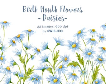 Daisy Watercolor Clipart Set, April Birth Month Flowers (PNG, 600 dpi)