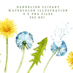 Dandelion, Watercolor Clipart, Dandelion Svg, Dandelion Png, Flower Svg, Instant Download, Digital Download, Clip Art, PNG