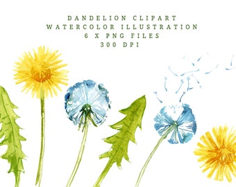 Dandelion, Watercolor Clipart, Dandelion Svg, Dandelion Png, Flower Svg, Instant Download, Digital Download, Clip Art, PNG