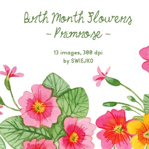 Primrose clipart, Birth Month Flowers, February Flower, watercolor clipart set, hand painted floral clip art, watercolor birth month flowers