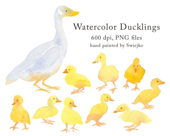 Country Clipart Set Ducks Ducklings Watercolor Animals | Etsy