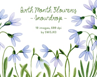 Snowdrop clipart, Birth Month Flowers, January Flower, watercolor clipart set, hand painted floral clip art