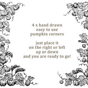 Hand drawn pumpkin clipart, autumn clipart, pumpkin illustration, stationery decor, digital clipart, digital pumpkin image 2