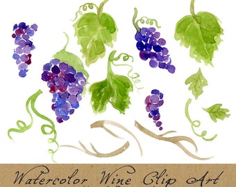 Digital Clipart, Vineyard Clip Art, Watercolor Grapes, Foliage